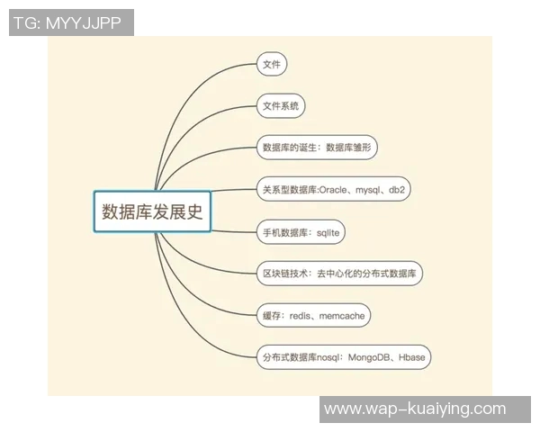 全面解析足球资料库的历史数据与未来发展趋势